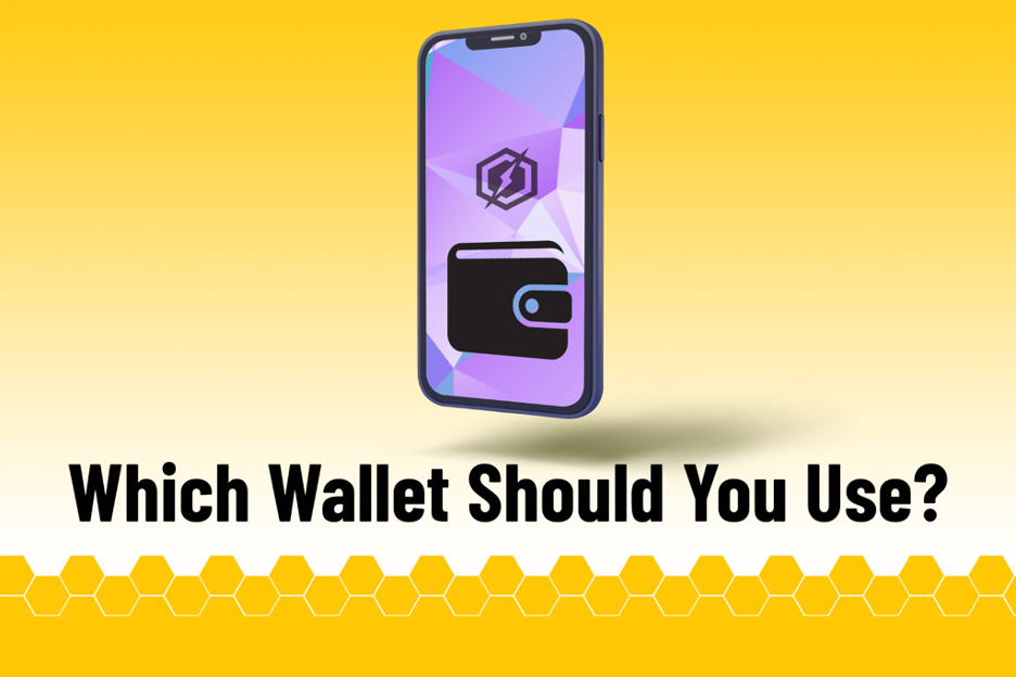 which wallet should i use